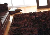 Shaggy Rugs